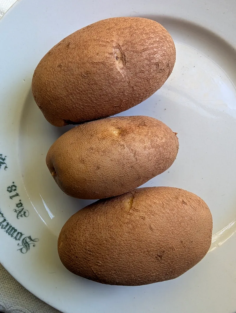 Organic Caribou Russet