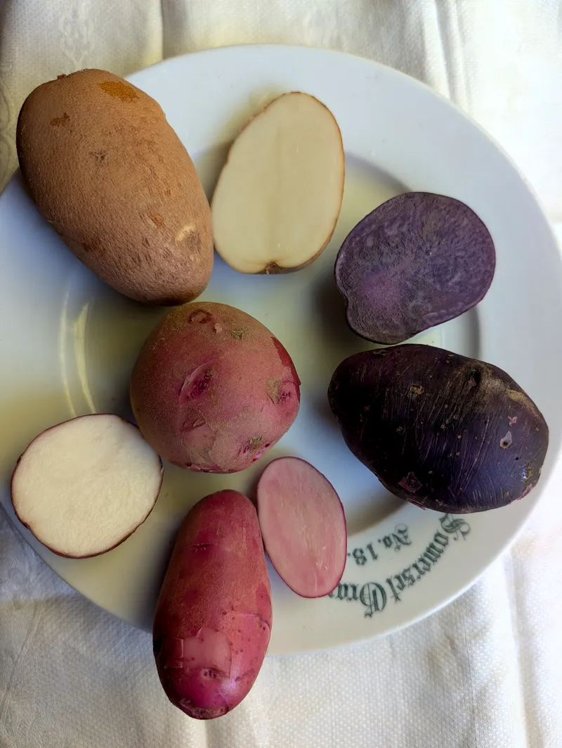 Organic Potatoes