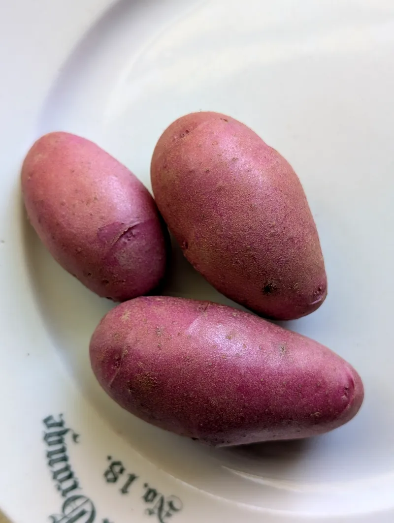 Organic Red Thumb